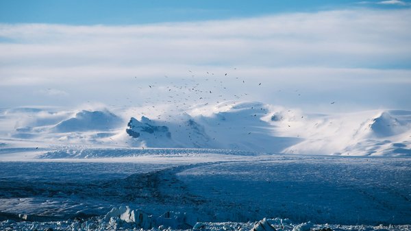 Comment organiser une expédition de randonnée glaciaire en Antarctique : équipements et conseils de sécurité ?